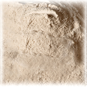 Bleaching Earth